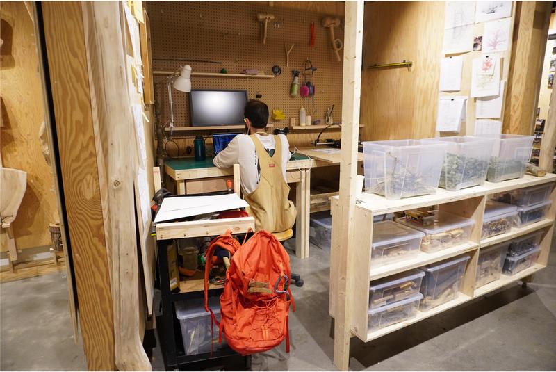 Using Trees Exhibition
