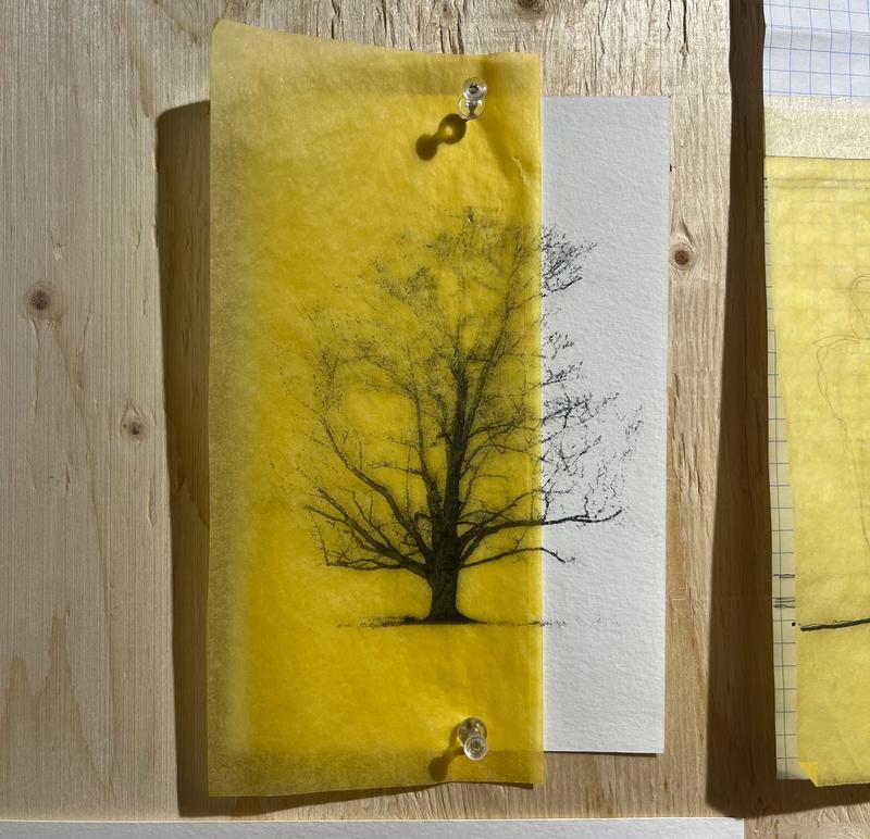 Using Trees Exhibition