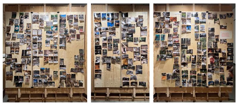 Using Trees Exhibition