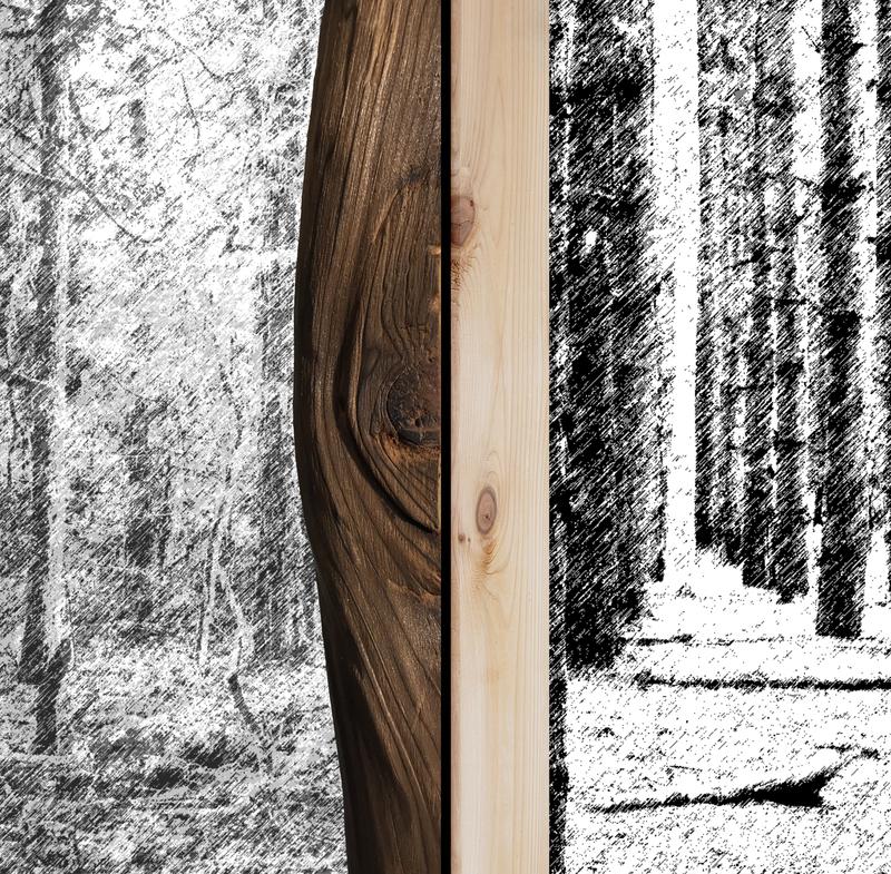 Using Trees Studio Jin Liu thesis work