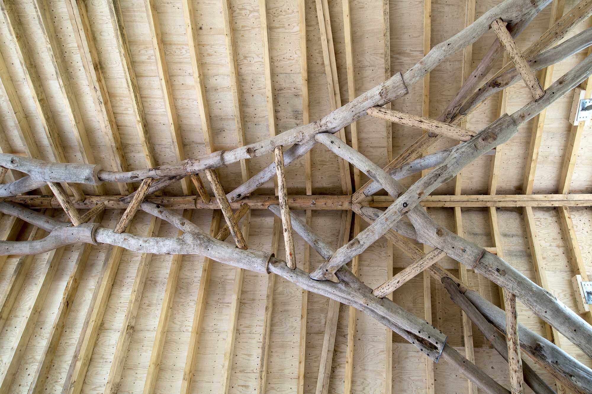 Tree Fork Truss interior view