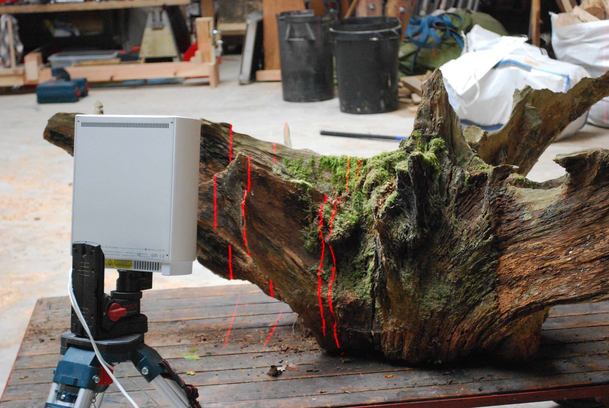 Oak Rootplate 3D scan process image