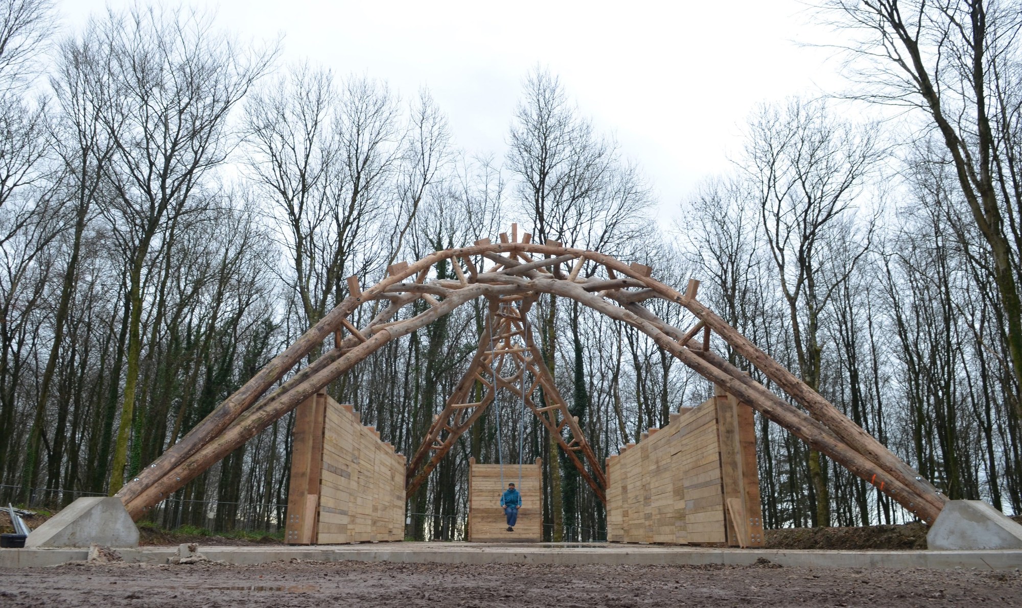 Tree Fork Truss with swing