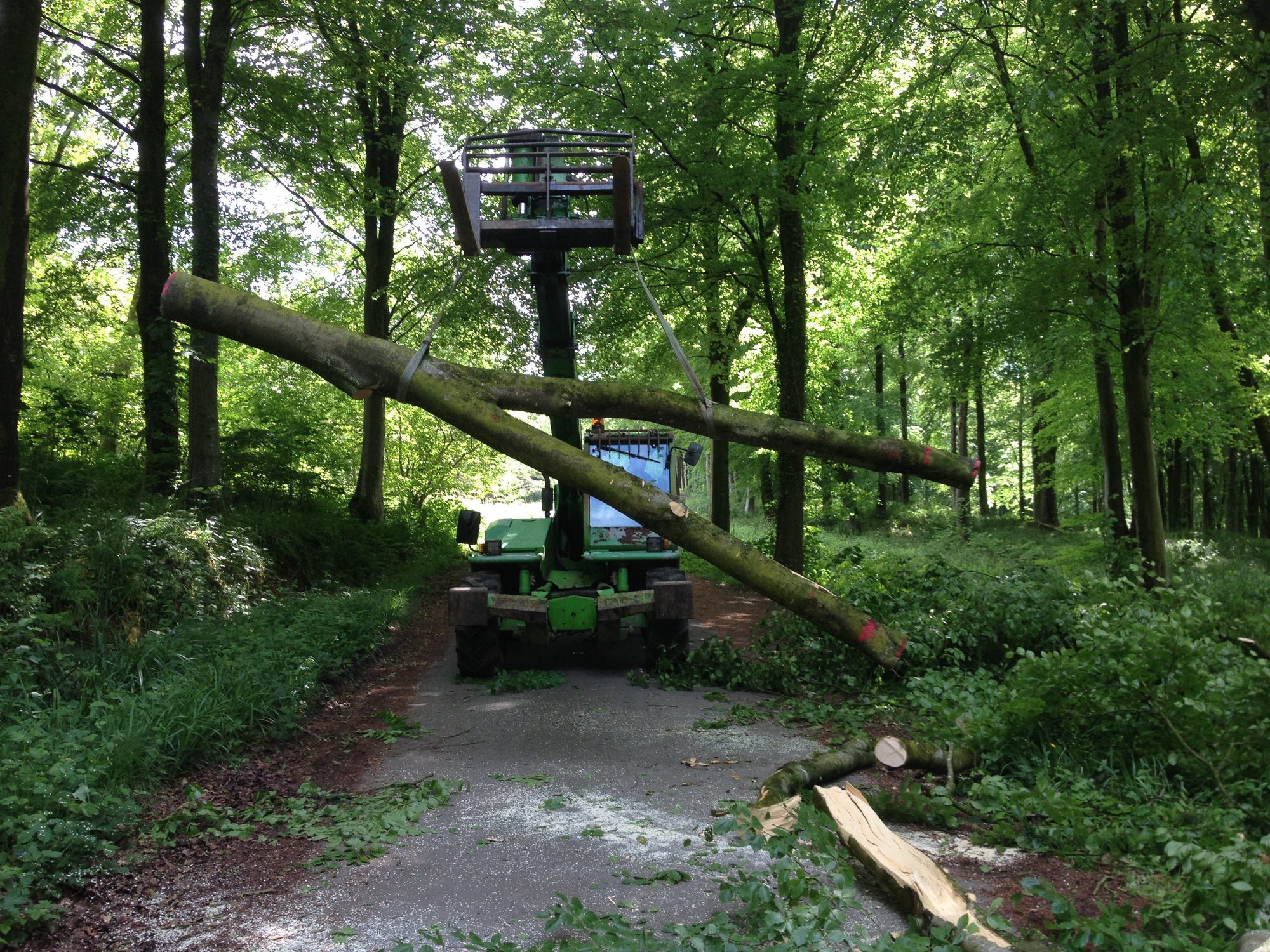 Tree Fork Truss extracting full size fork