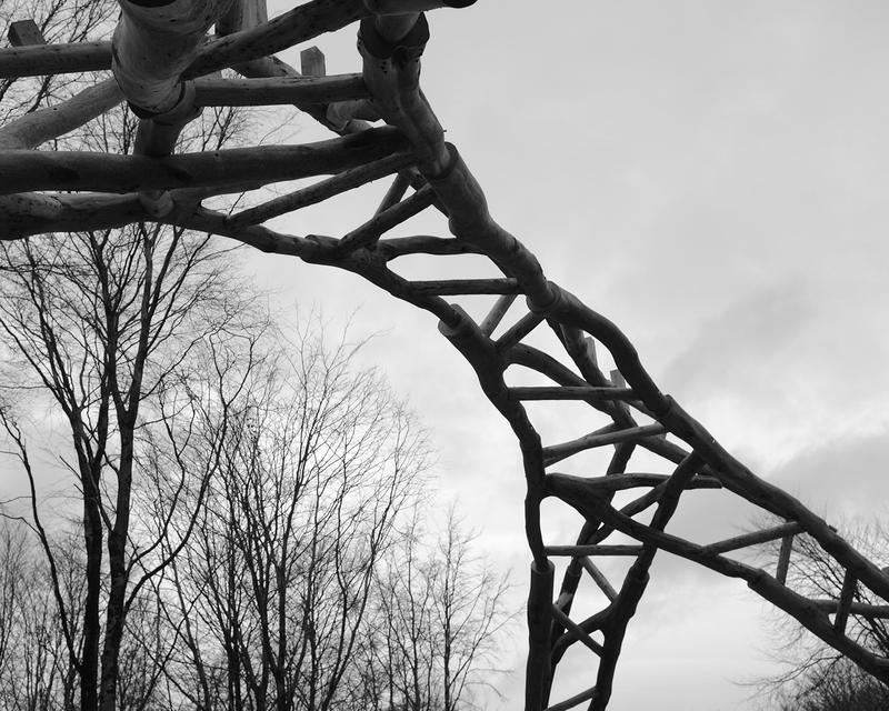 AA Wood Lab tree fork truss