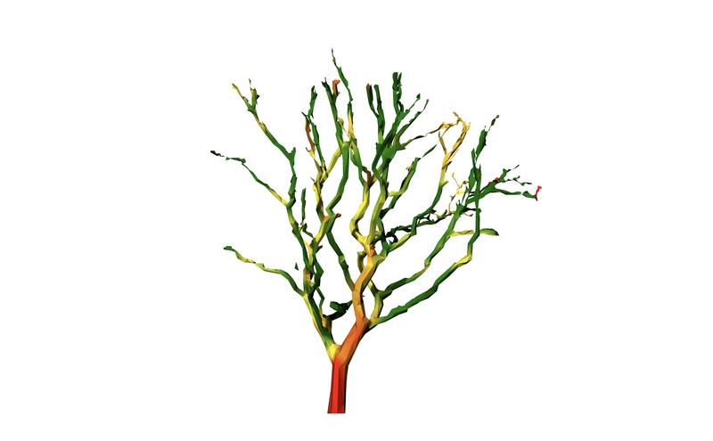 AA Wood Lab MeshTree