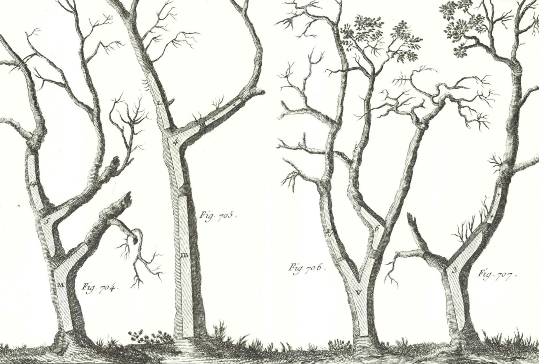 AAG EncyclopedieMethodique NavalTimber