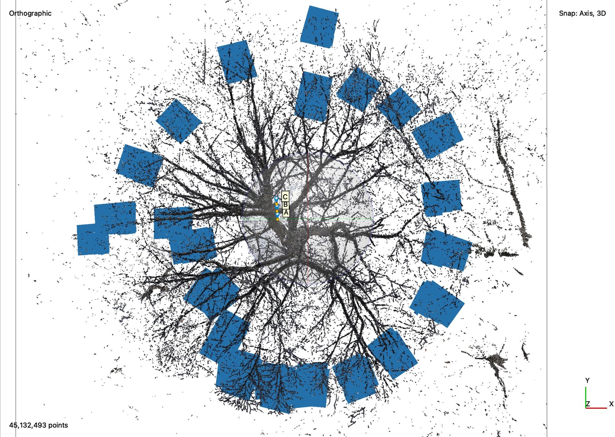 Tree scan and scanner positions