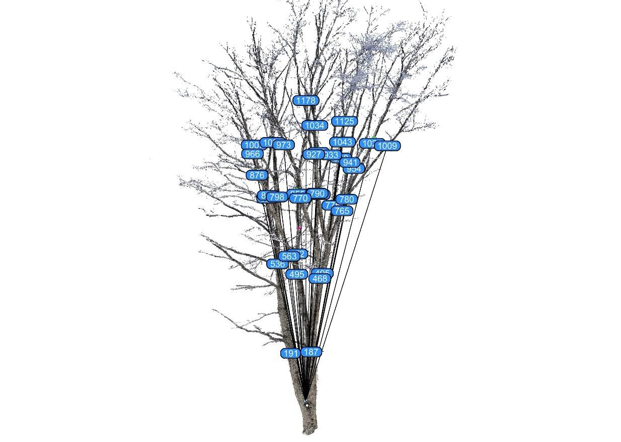 Planning cuts in the tree model