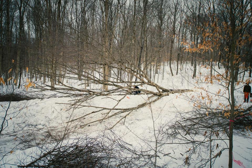 Haliburton Forest Research Fund