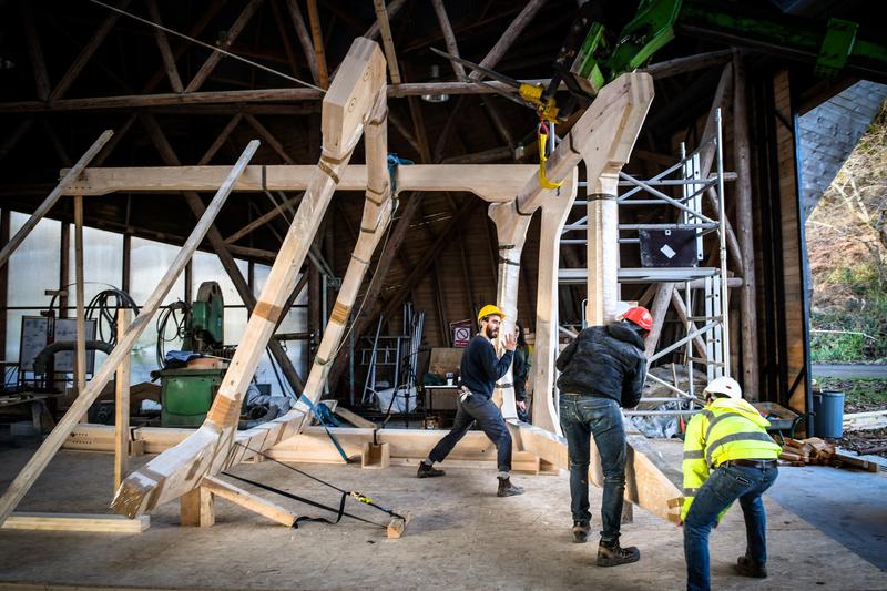 Hooke Park Build