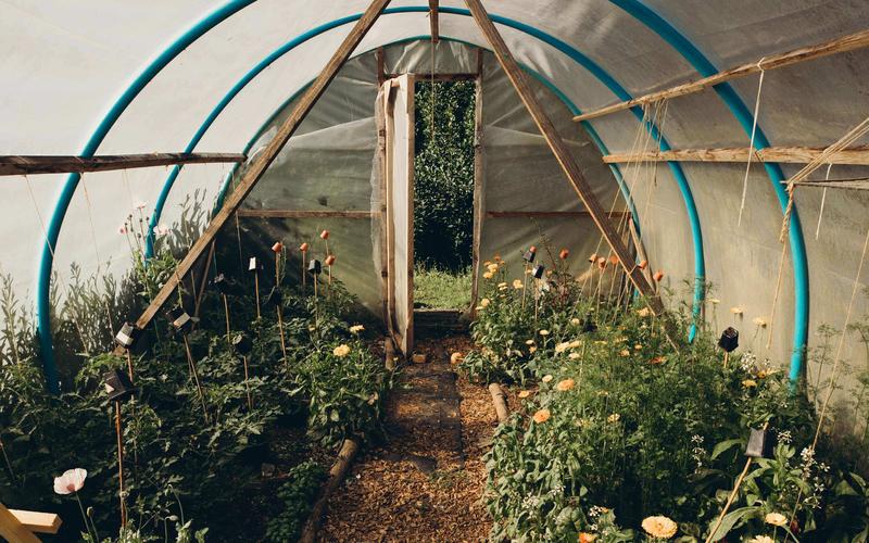 Kitchen Garden cover image