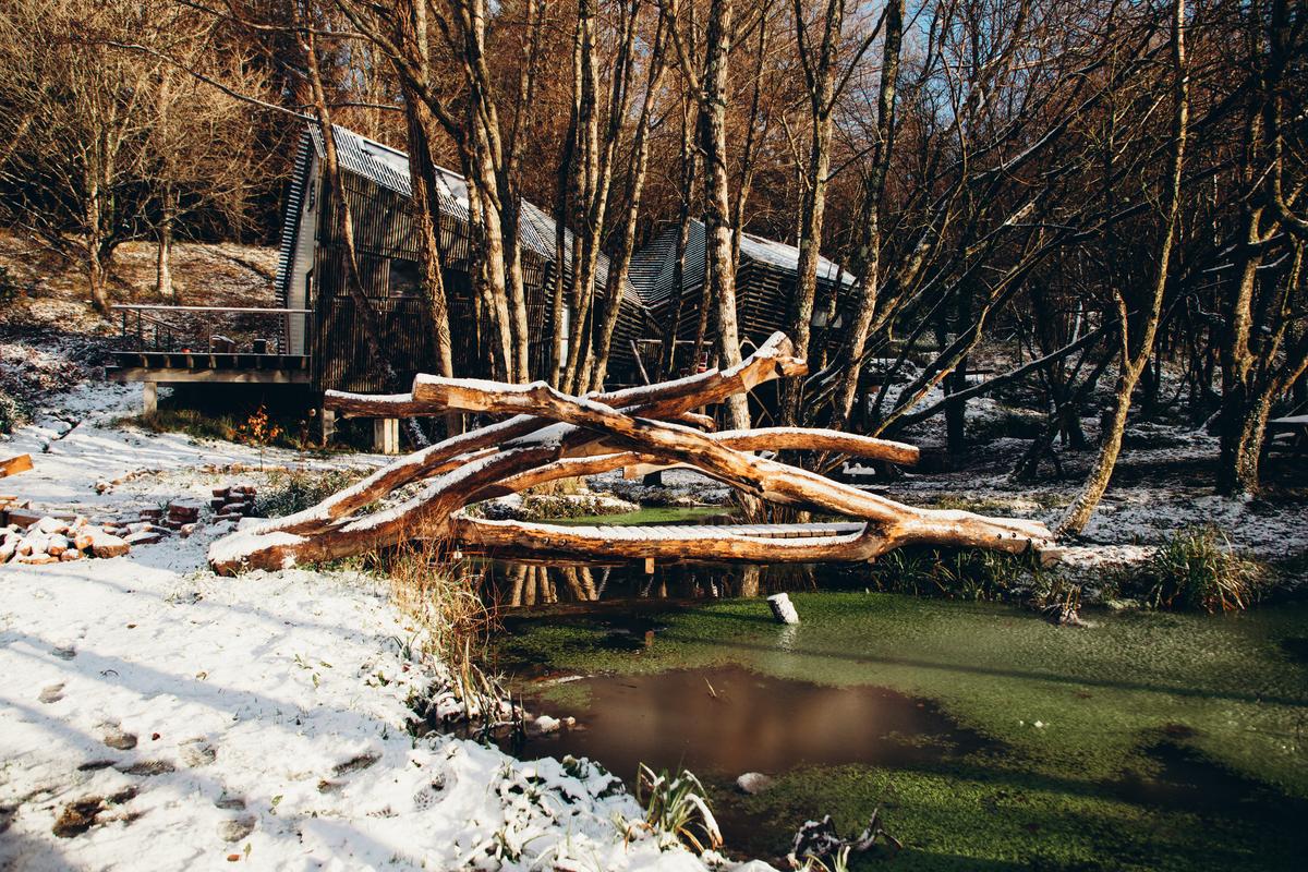 Leading Hooke Park WinterOnSite FaridYounesi