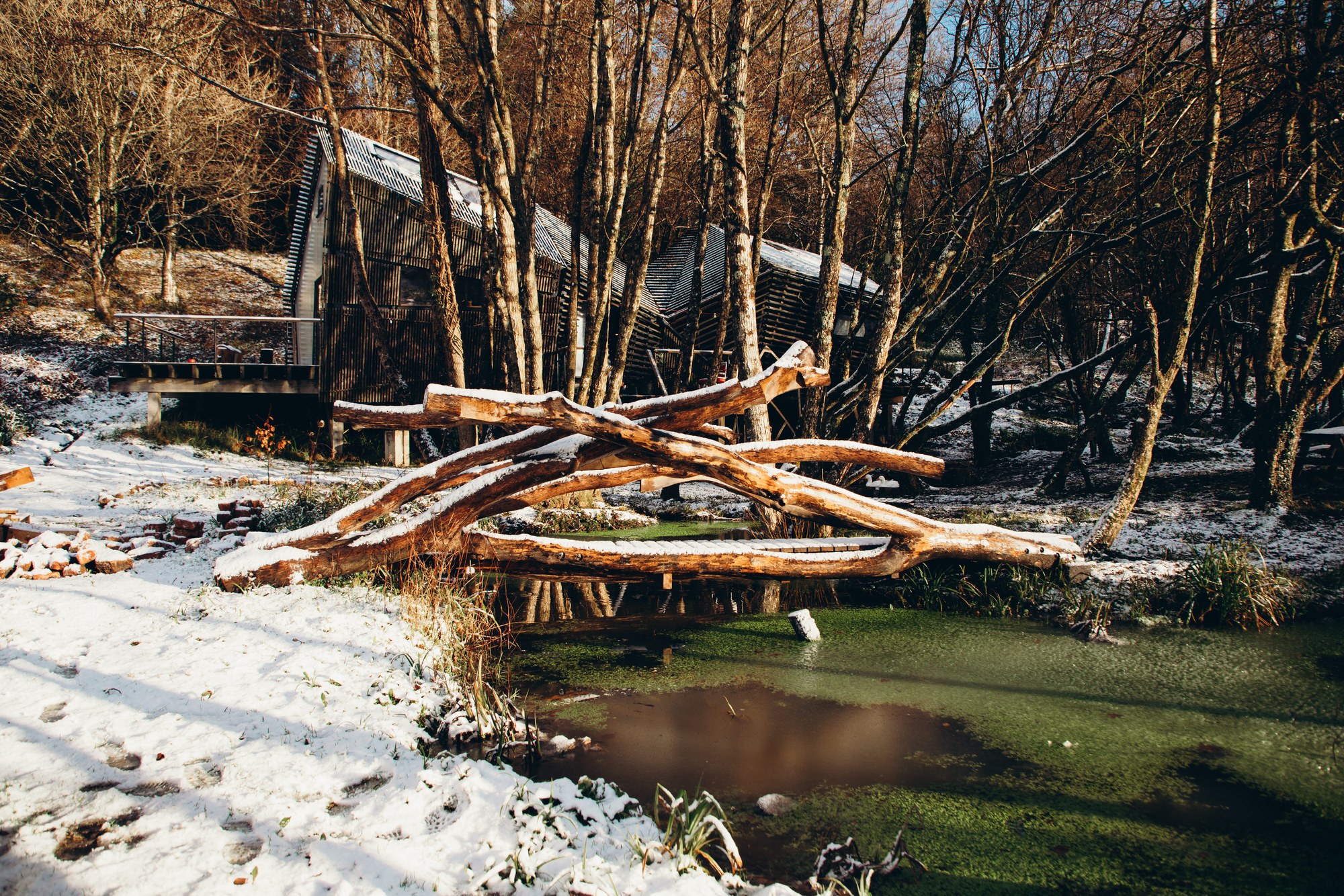 Leading Hooke Park WinterOnSite FaridYounesi