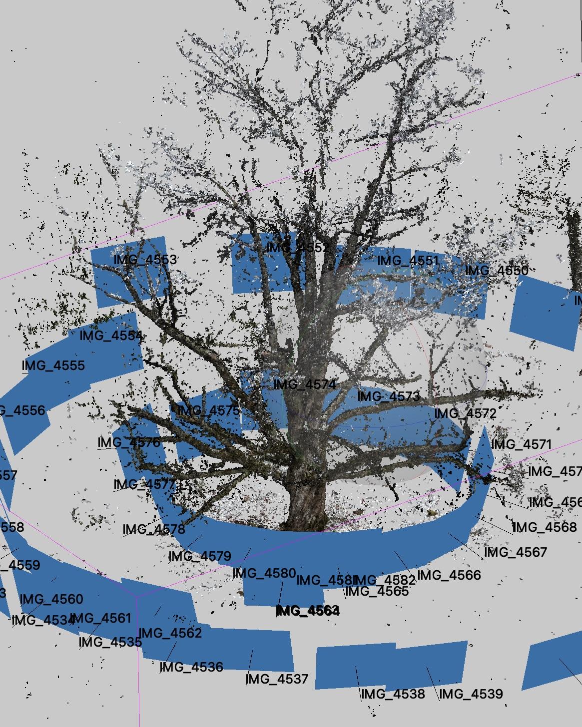 Learn to 3D Scan Trees cover image