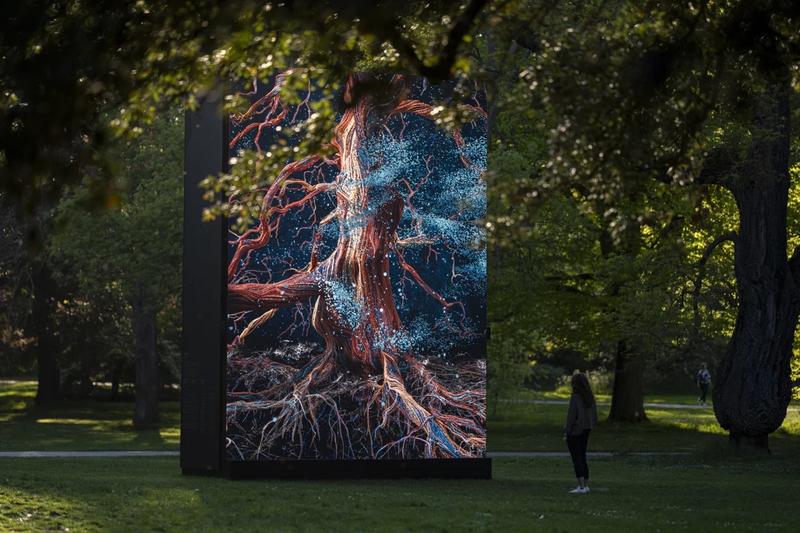 MLF: Of The Oak cover image