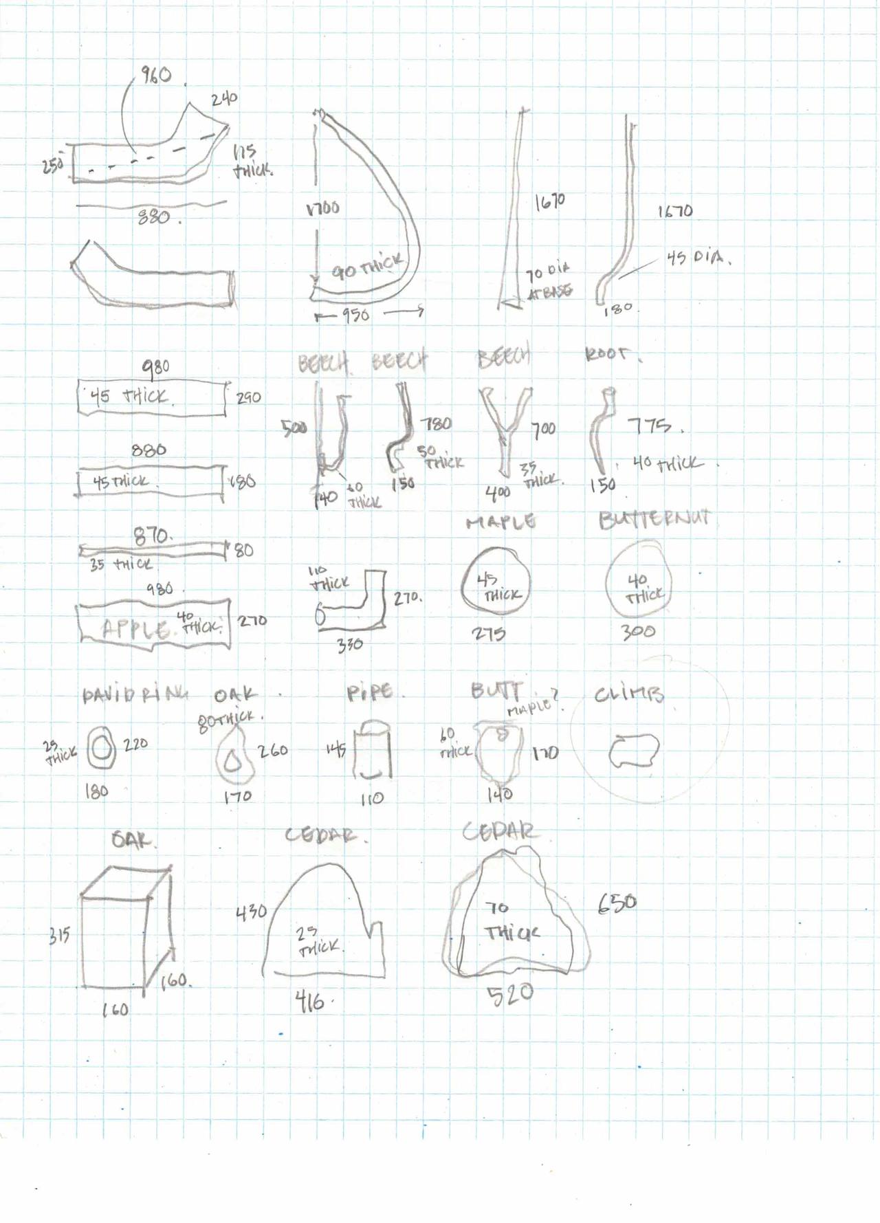 Inventory sketches recording the outlines, species and dimensions of irregular wood pieces