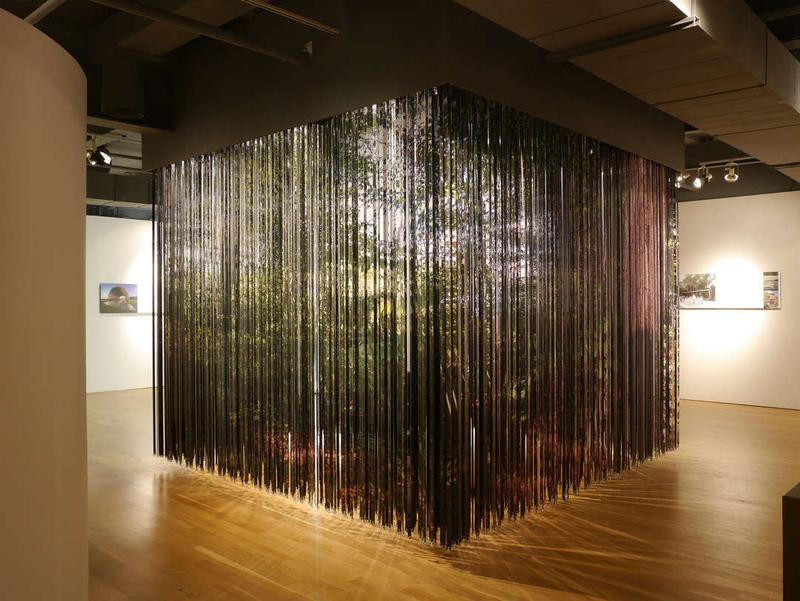 Plant Architects Venice Bienalle work