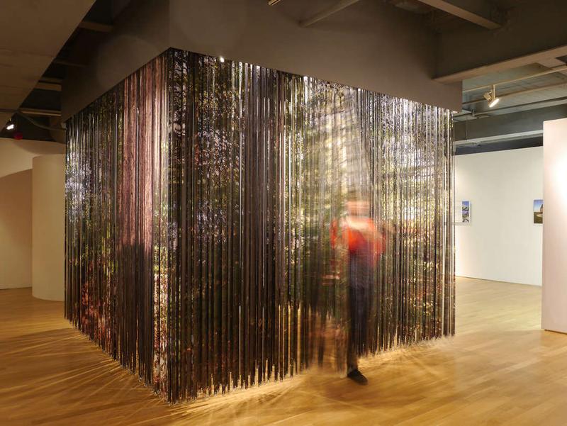 Plant Architects Venice Bienalle work