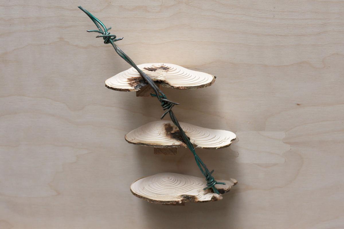 Slow Joinery by Laura Welsh