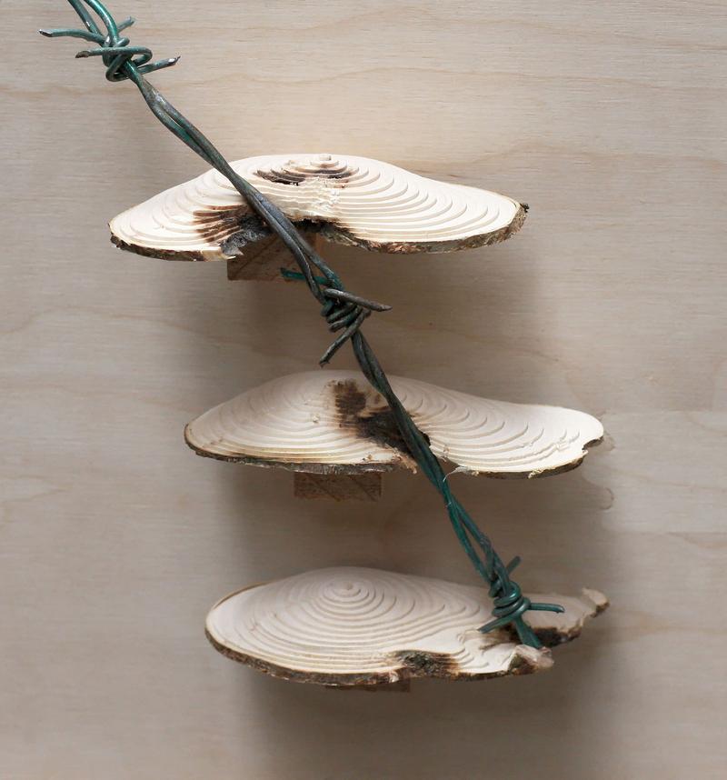 Slow Joinery