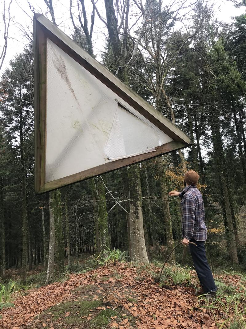 Tetrahedron in the Forest years after install