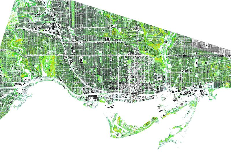 TorontoTreeLiDARPlan_City