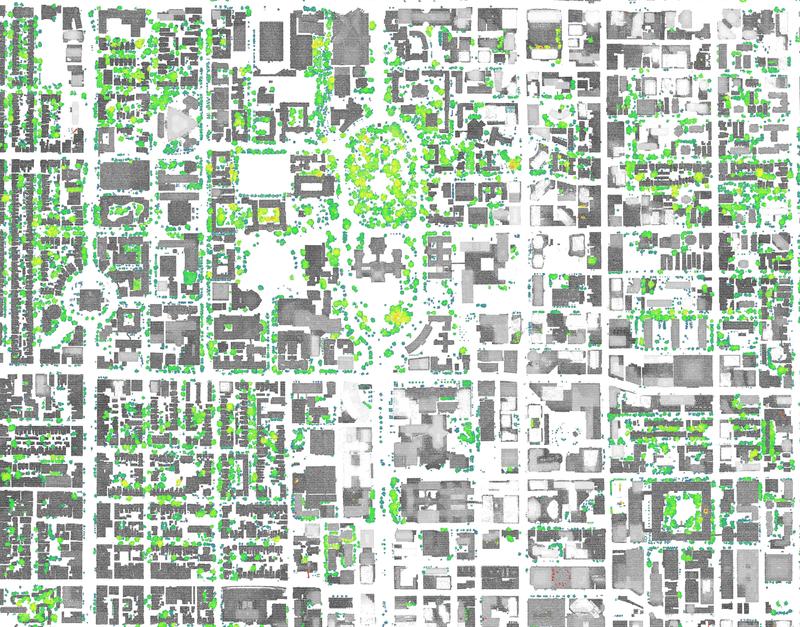 TorontoTreeLiDARPlan_Neighbourhood1