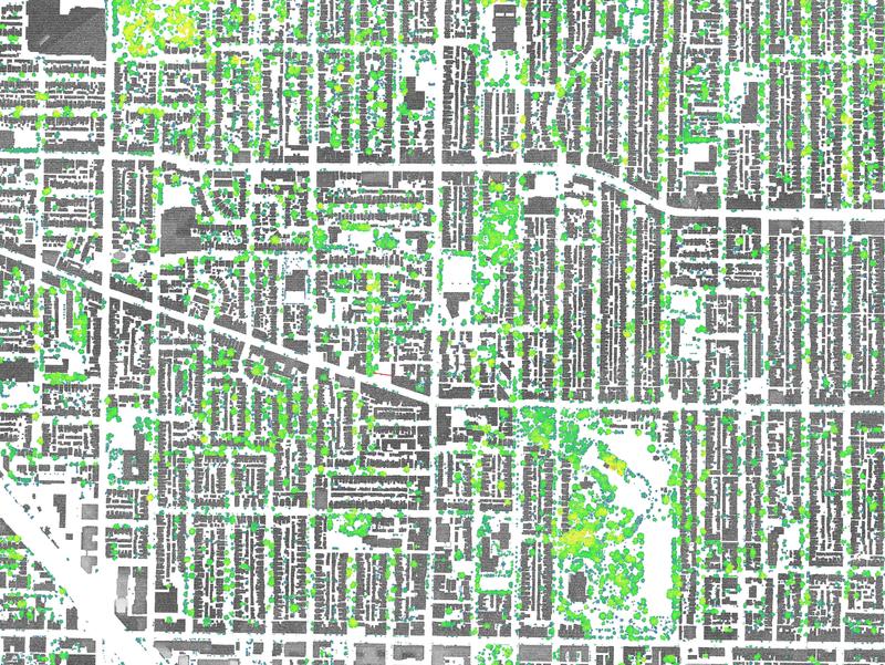 TorontoTreeLiDARPlan_Neighbourhood2