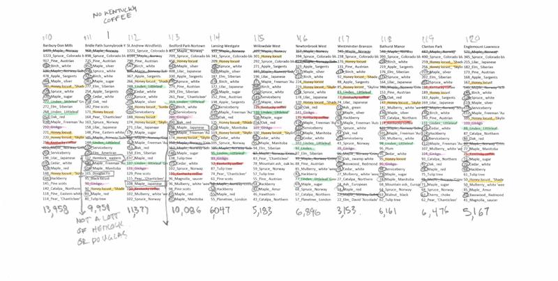 Toronto Trees neighbourhood rankings graph