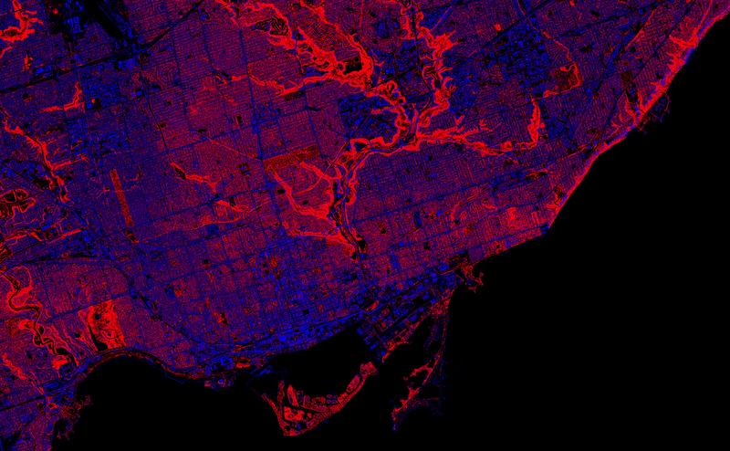 Toronto Trees