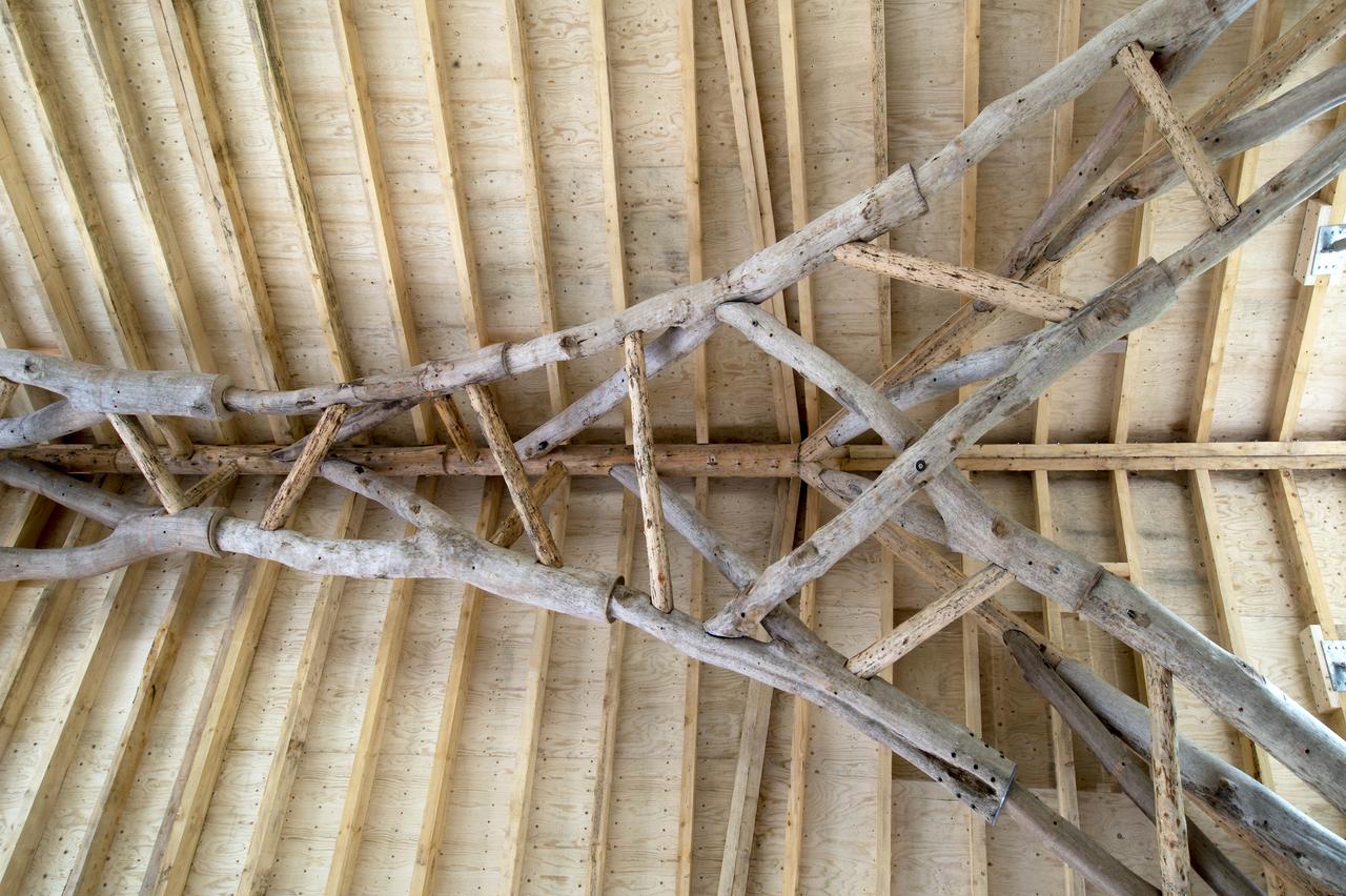 Naturally grown beech forks forming the truss beneath the Wood Chip Barn roof