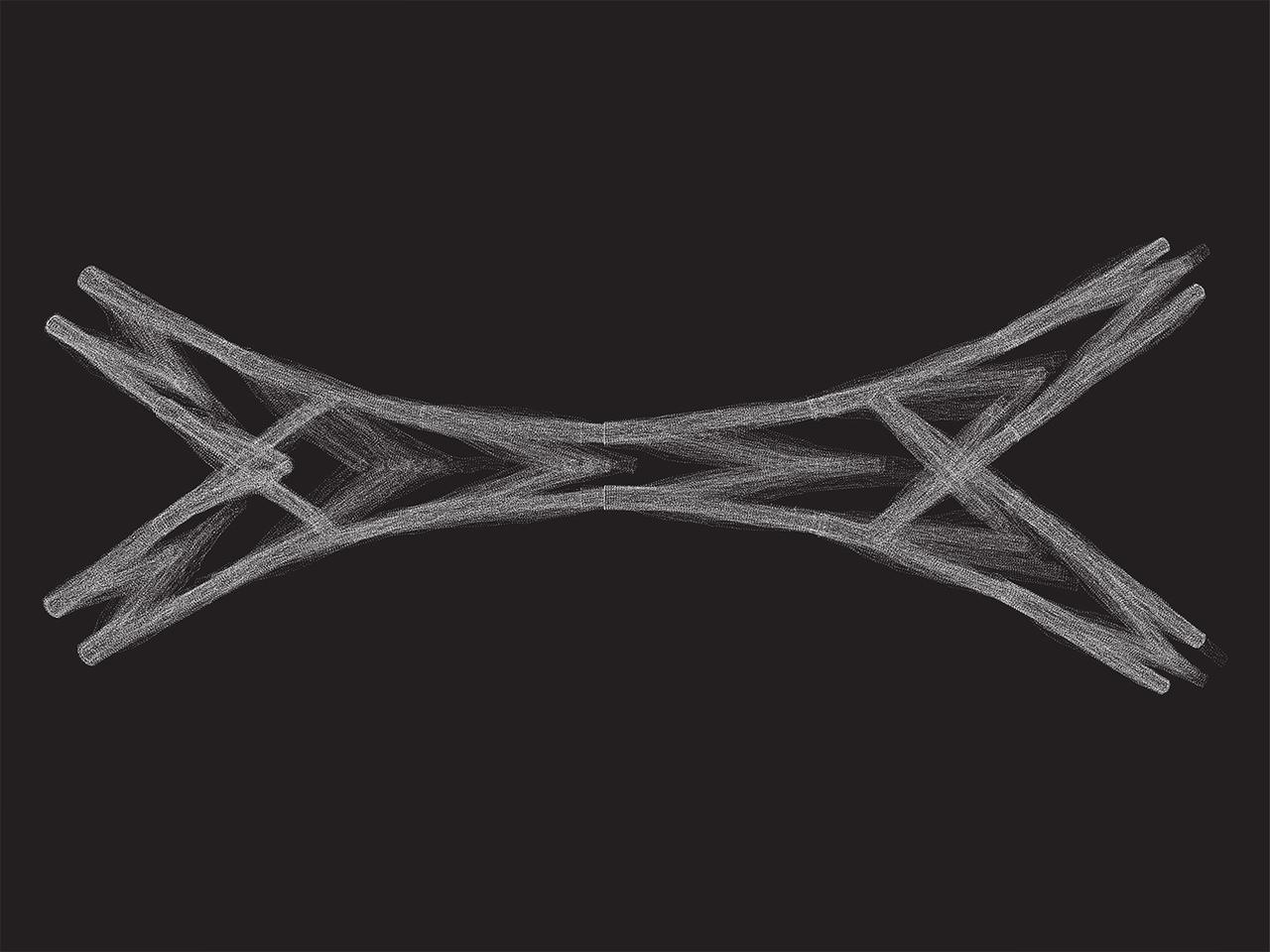 Digital model of naturally grown tree forks arranged into the truss