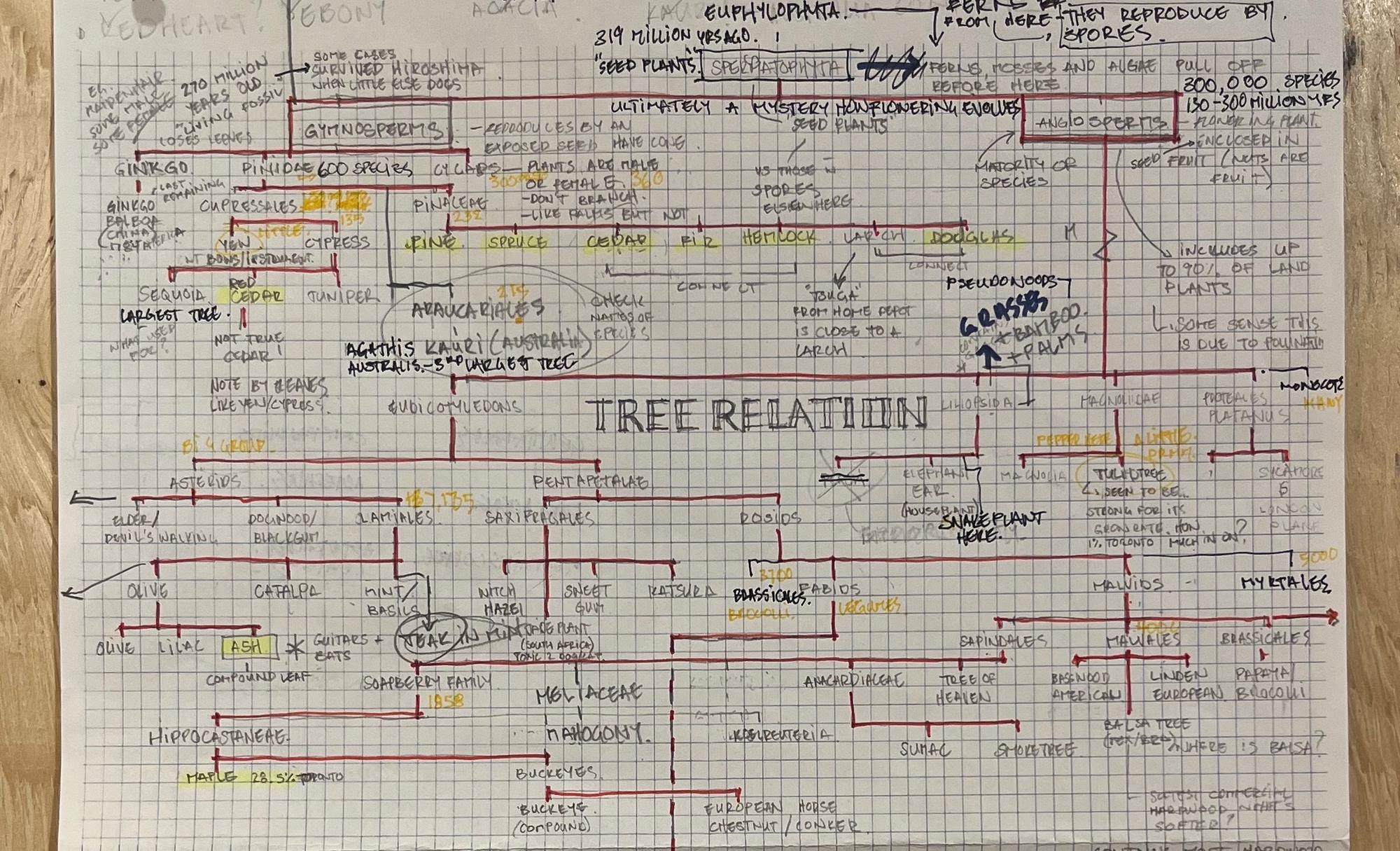 Tree Relations cover image