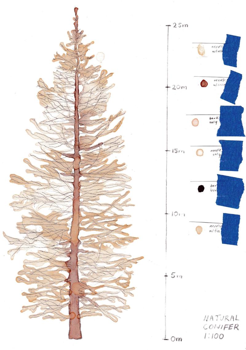 Using Trees Studio Samantha Tam thesis work