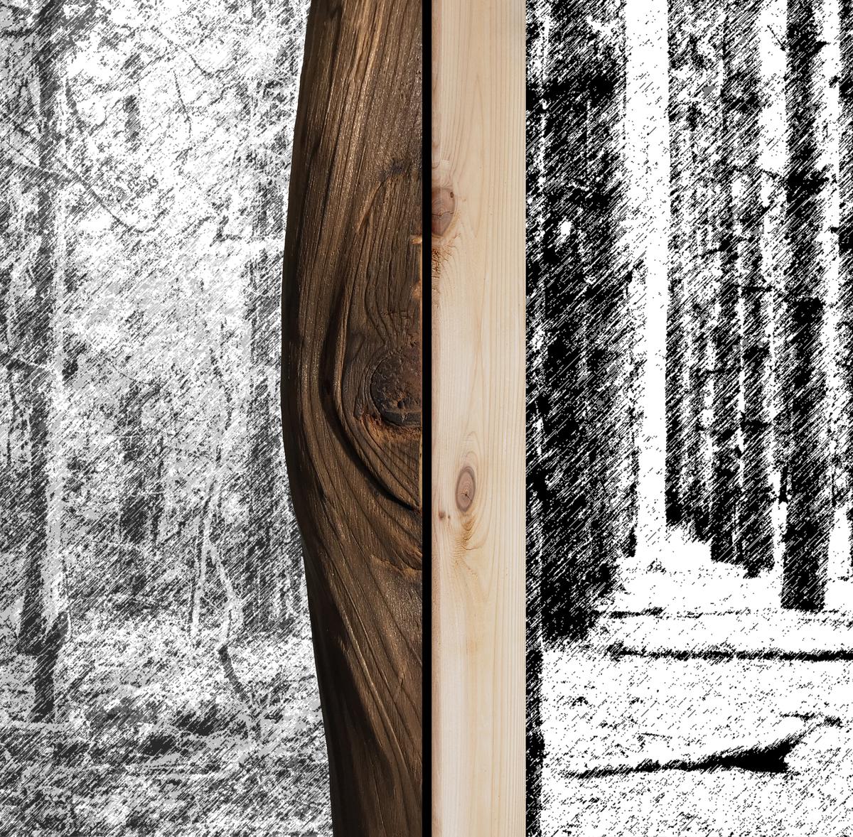 Using Trees Studio Jin Liu thesis work