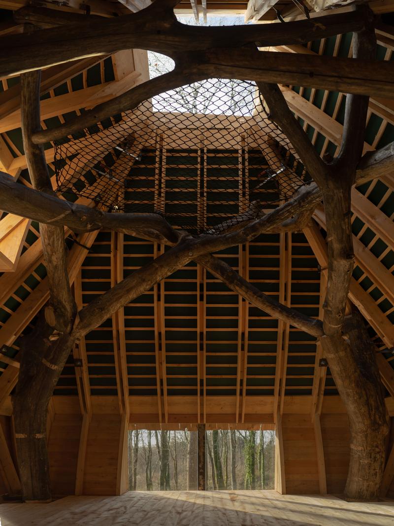 Woodland Cabin CabinInterior WyattArmstrongMerge