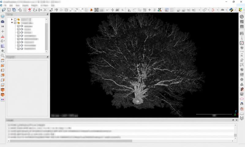 CloudCompare displaying tree point clouds, with titles and file details obscured