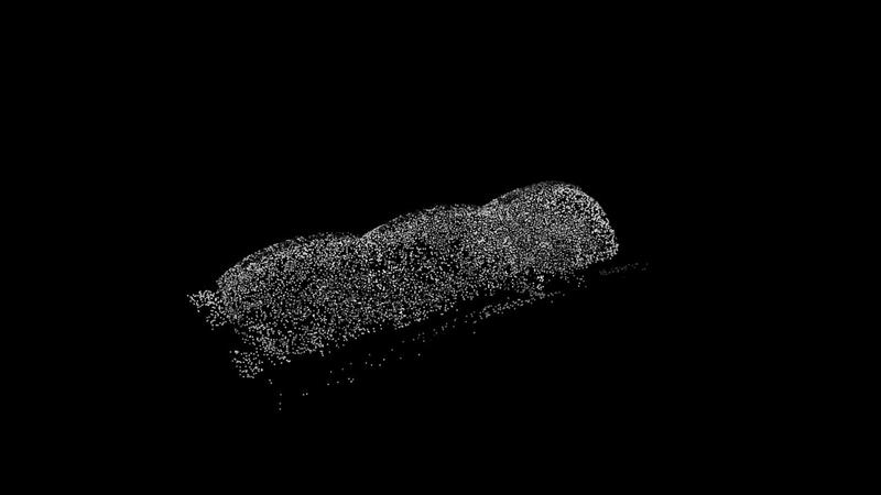 Point-cloud view of AA Wood Lab