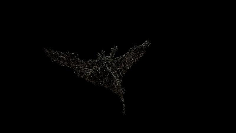 Point-cloud view of Root Plate