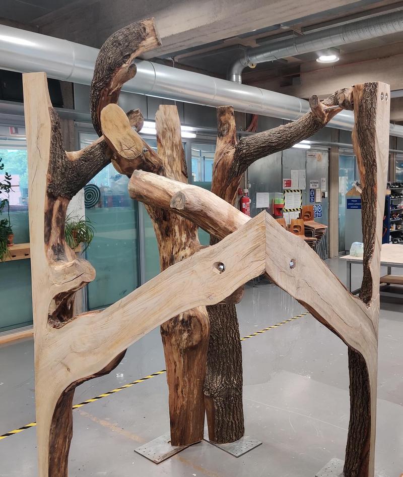 Building with Misfit Wood image