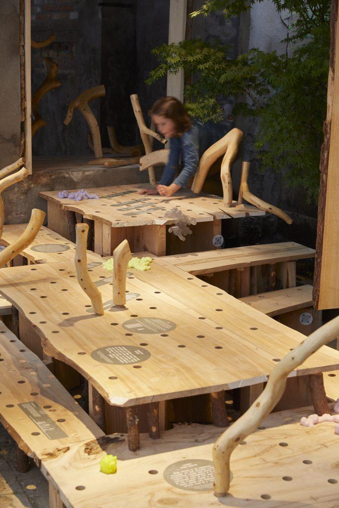 Children's Forest Pavilion image