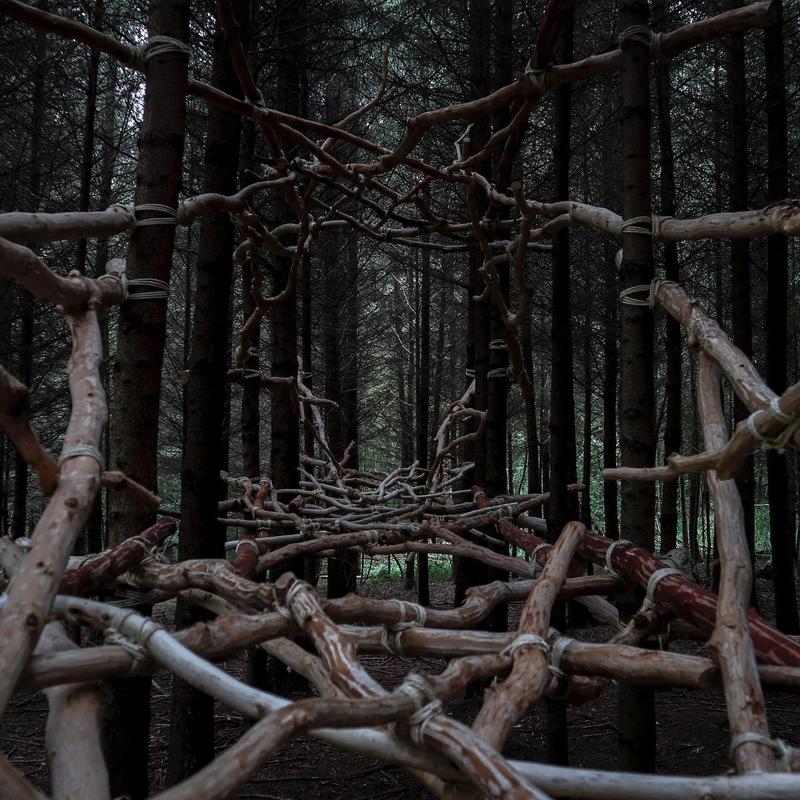 Forest Tendril image