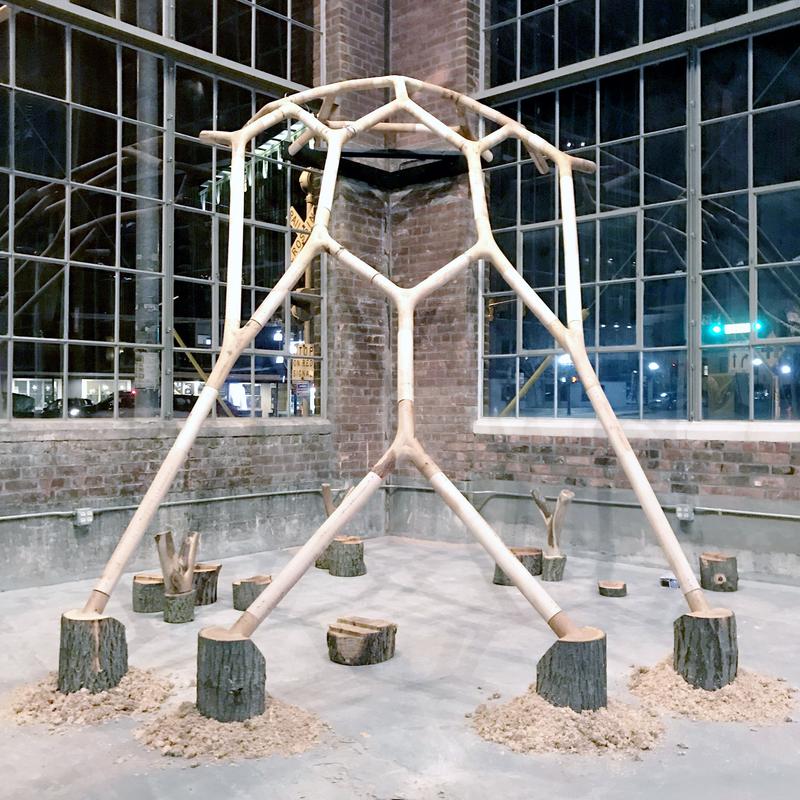 LIMB — project image