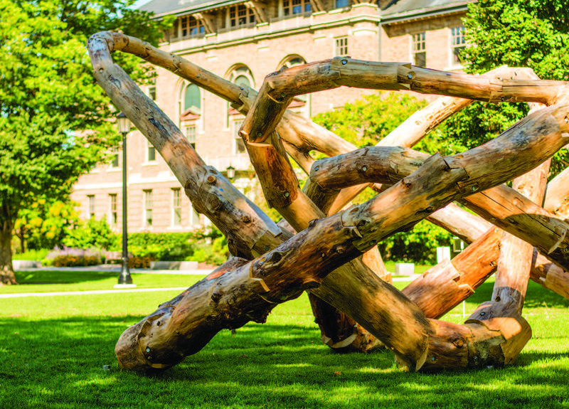 Log Knot image