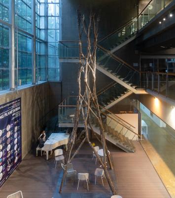 Natural Tree Fork Tower Structure — project image