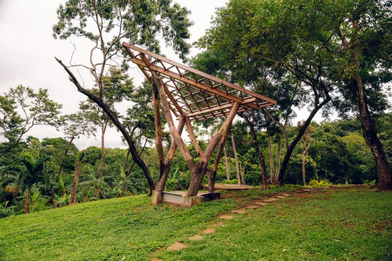 Raw Timber Pergola — project image