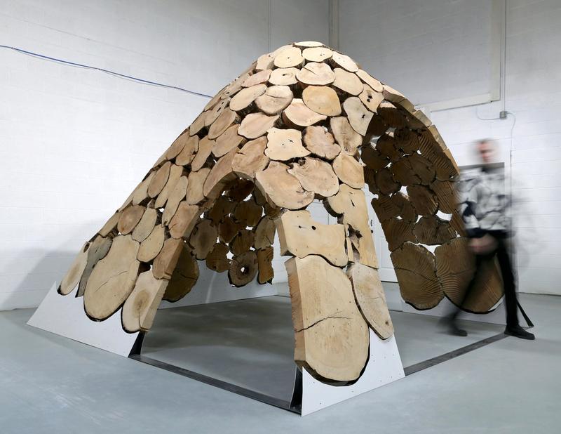 Tangential Timber image