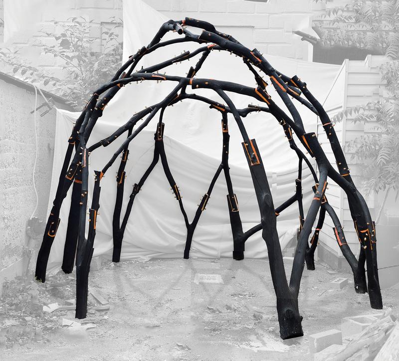 Wild Wood Gridshell image