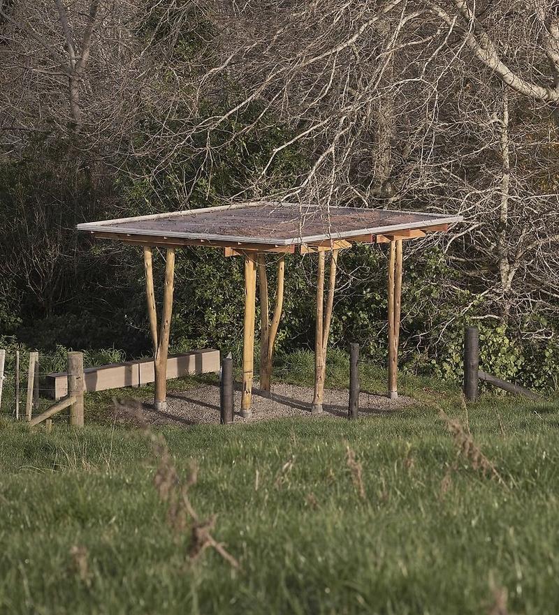 Y Shelter — project image